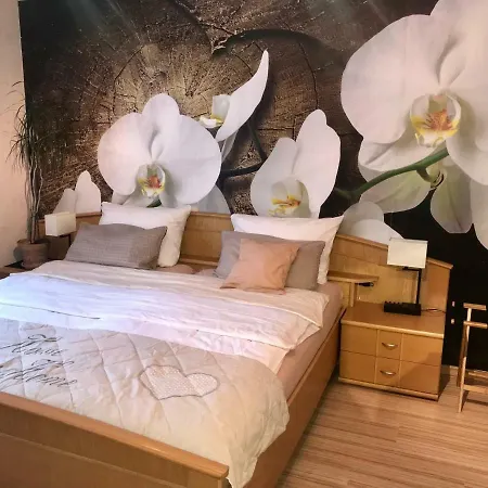 Christinas Gartenblick 4 Schlafzimmer, Kueche, Bad ,eg Mit Terrasse Und Garten, Parken Direkt Am Haus Salzgitter