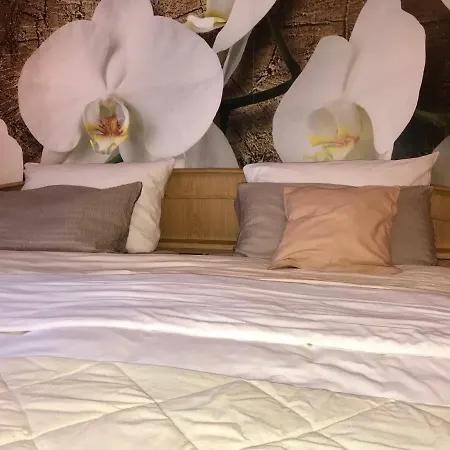 Christinas Gartenblick 4 Schlafzimmer, Kueche, Bad ,eg Mit Terrasse Und Garten, Parken Direkt Am Haus *